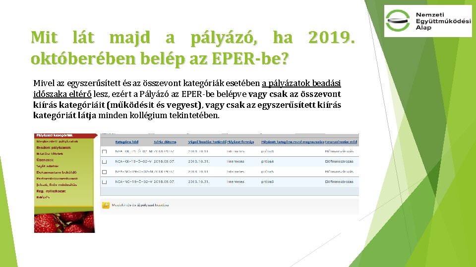 Mit lát majd a pályázó, ha 2019. októberében belép az EPER-be? Mivel az egyszerűsített