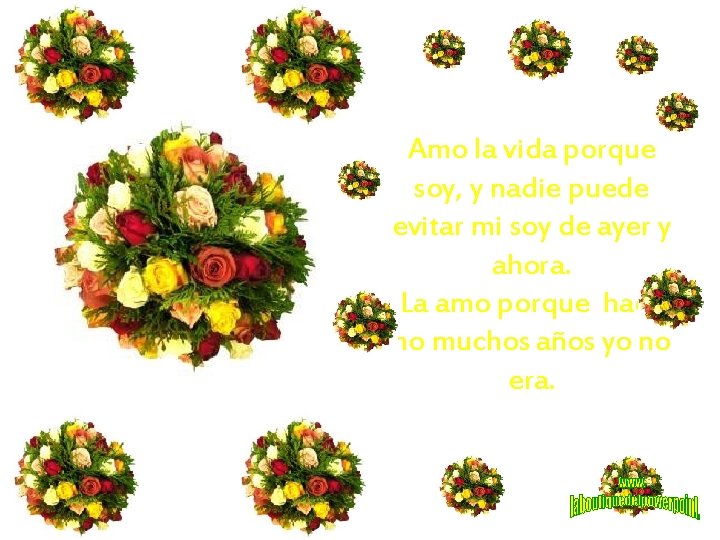 Amo la vida porque soy, y nadie puede evitar mi soy de ayer y