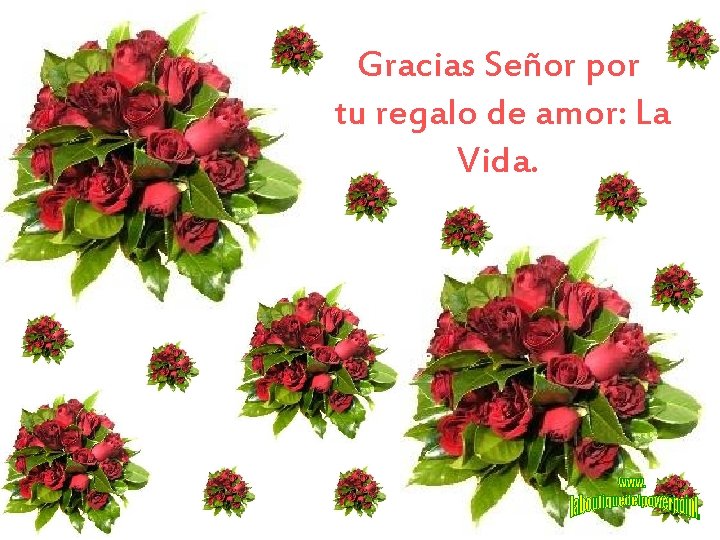 Gracias Señor por tu regalo de amor: La Vida. 