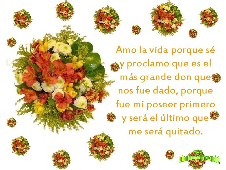 Amo la vida porque sé y proclamo que es el más grande don que