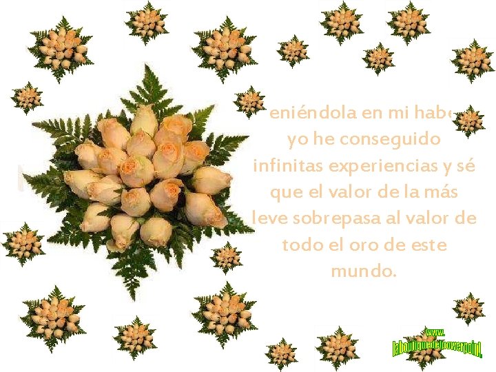 Teniéndola en mi haber, yo he conseguido infinitas experiencias y sé que el valor