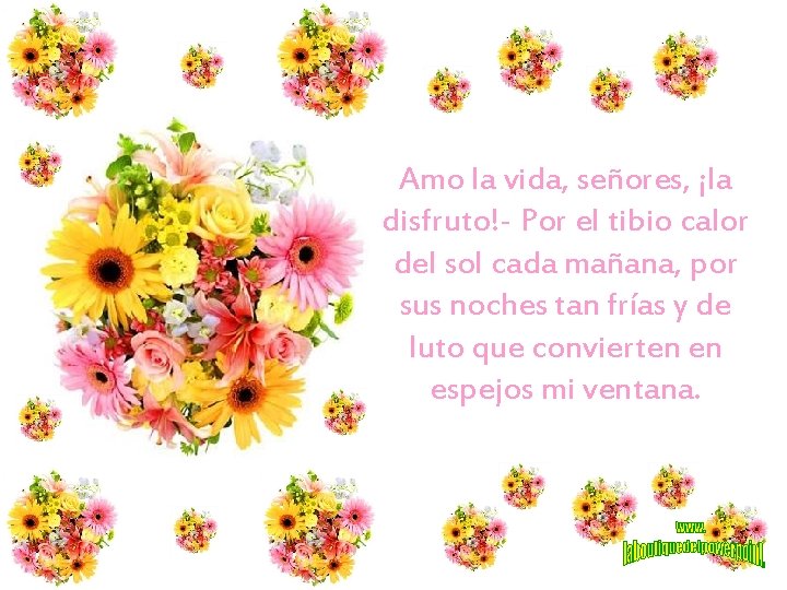 Amo la vida, señores, ¡la disfruto!- Por el tibio calor del sol cada mañana,
