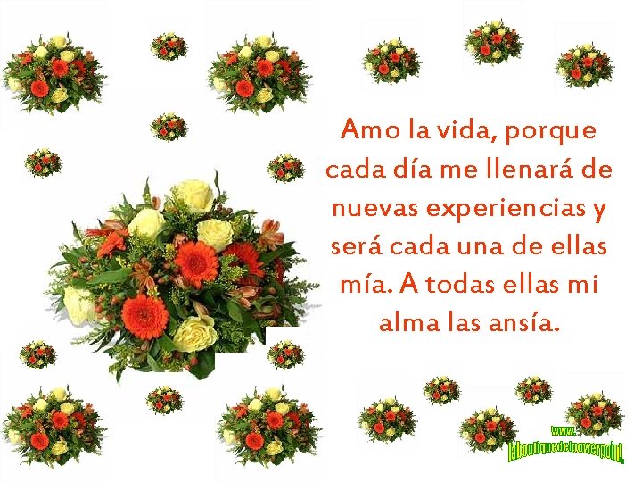 Amo la vida, porque cada día me llenará de nuevas experiencias y será cada