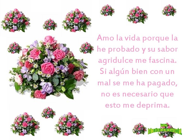 Amo la vida porque la he probado y su sabor agridulce me fascina. Si
