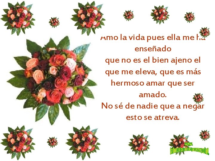 Amo la vida pues ella me ha enseñado que no es el bien ajeno