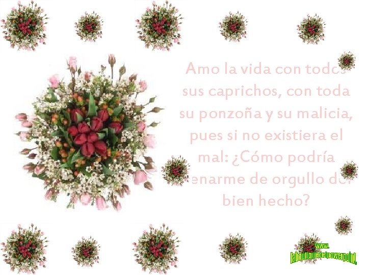 Amo la vida con todos sus caprichos, con toda su ponzoña y su malicia,