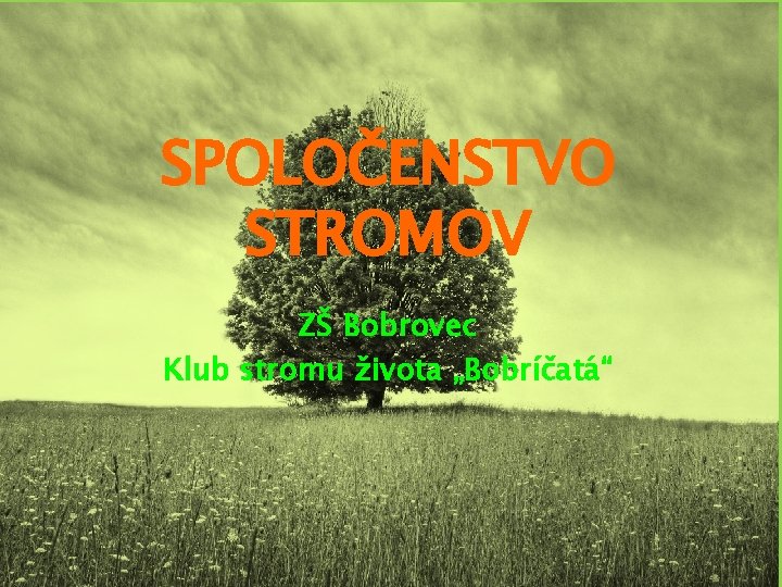 SPOLOČENSTVO STROMOV ZŠ Bobrovec Klub stromu života „Bobríčatá“ 