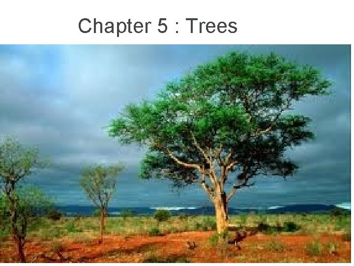 Chapter 5 : Trees 