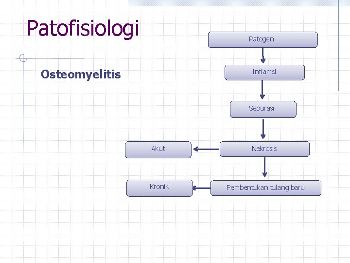 Patofisiologi Patogen Osteomyelitis Inflamsi Sepurasi Akut Nekrosis Kronik Pembentukan tulang baru 