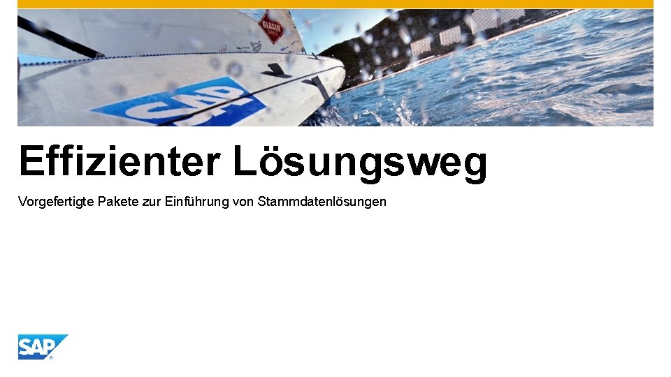 Effizienter Lösungsweg Vorgefertigte Pakete zur Einführung von Stammdatenlösungen 