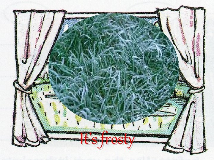 It’s frosty It’s frosty