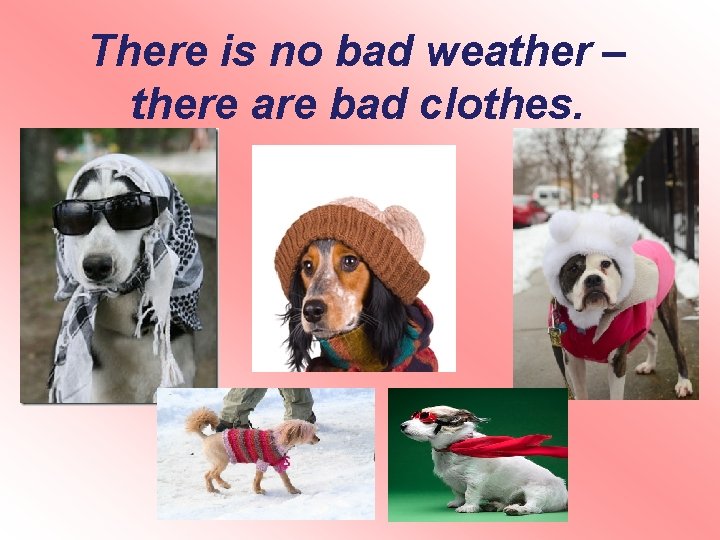 There is no bad weather – there are bad clothes. There is no bad weather – there are bad clothes.