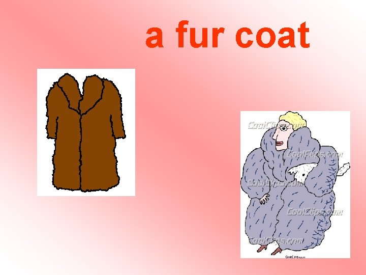 a fur coat a fur coat
