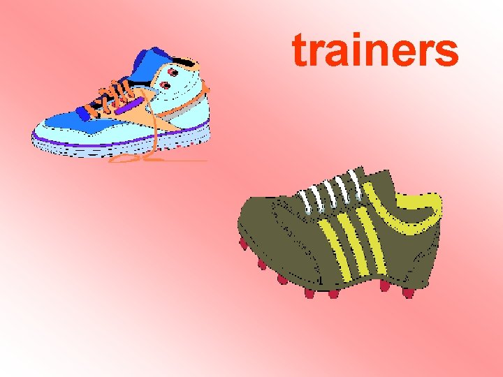 trainers trainers