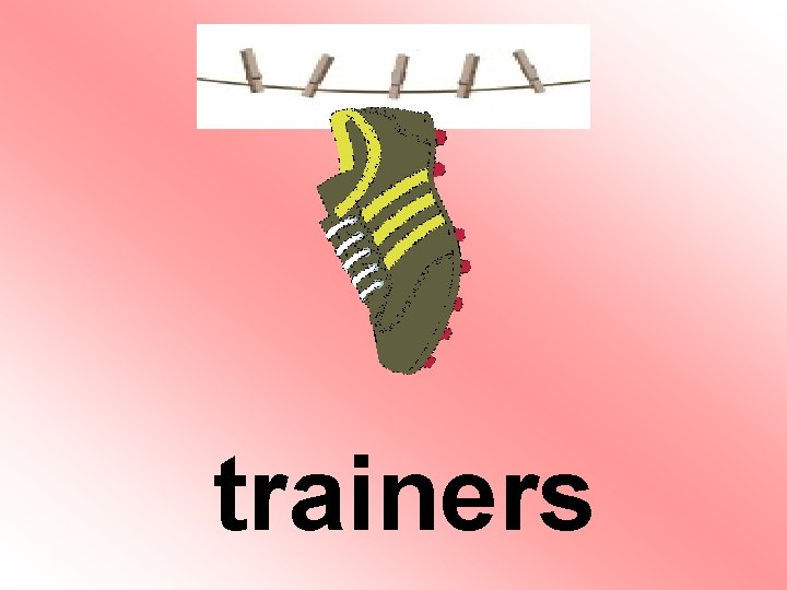 trainers trainers