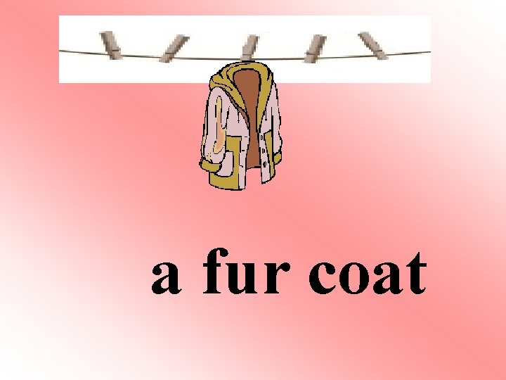 a fur coat a fur coat