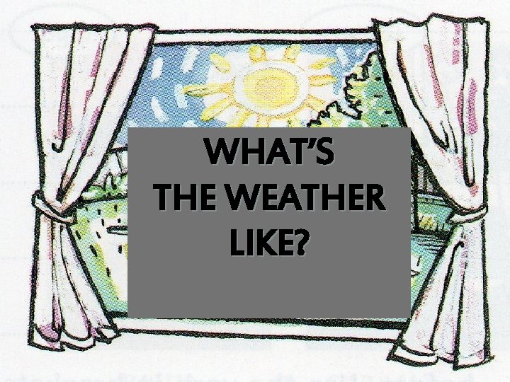 WHAT’S THE WEATHER LIKE? WHAT’S THE WEATHER LIKE?