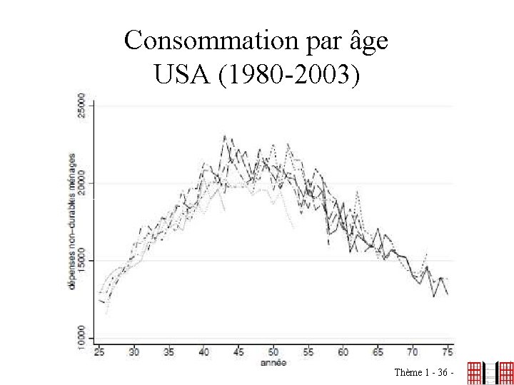 Consommation par âge USA (1980 -2003) Thème 1 - 36 - 