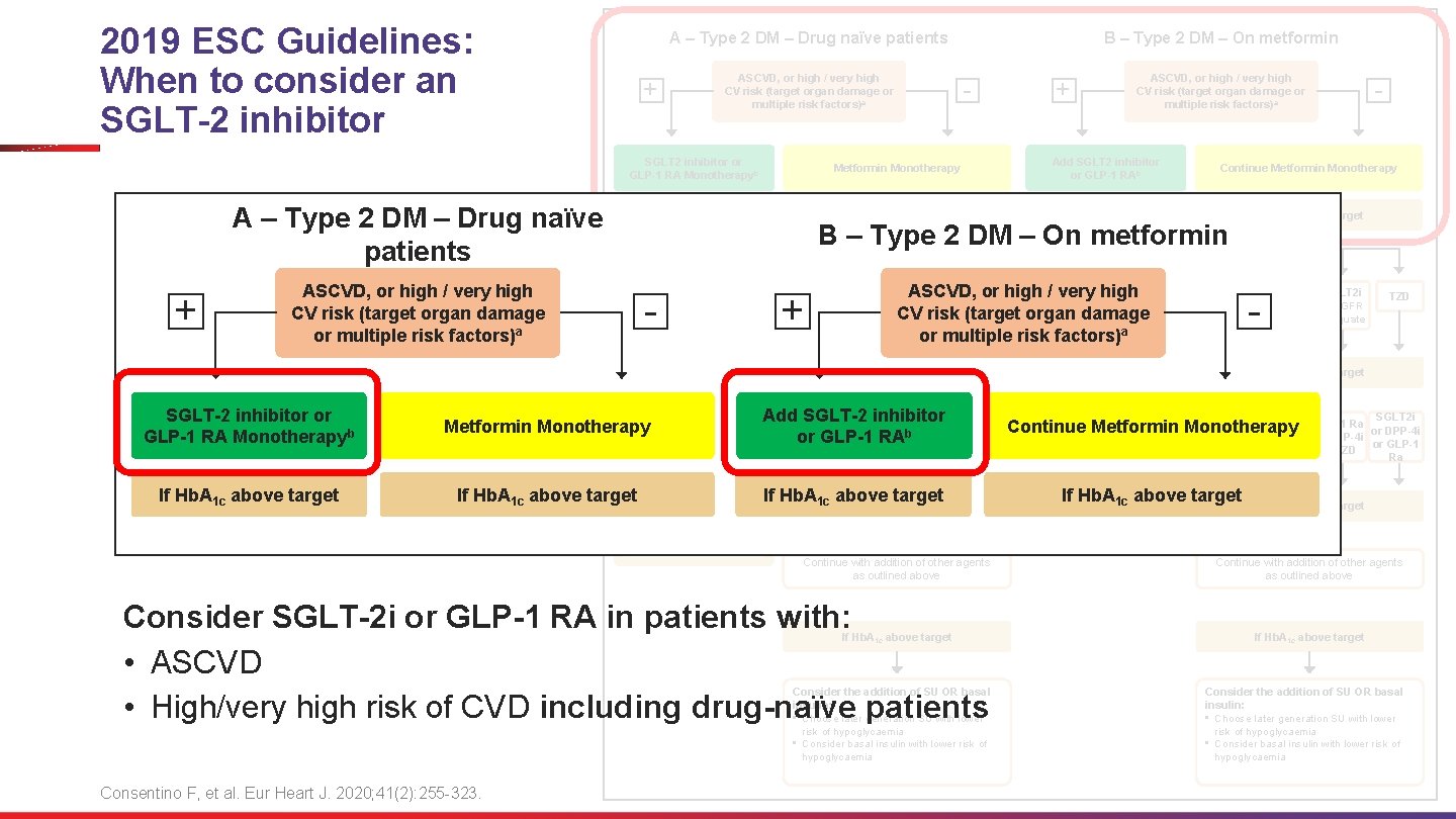 2019 ESC Guidelines: When to consider an SGLT-2 inhibitor + B – Type 2