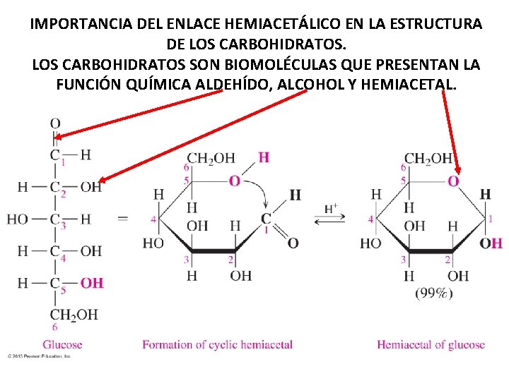 IMPORTANCIA DEL ENLACE HEMIACETÁLICO EN LA ESTRUCTURA DE LOS CARBOHIDRATOS SON BIOMOLÉCULAS QUE PRESENTAN