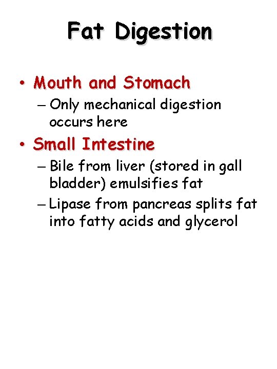 Fat Digestion • Mouth and Stomach – Only mechanical digestion occurs here • Small