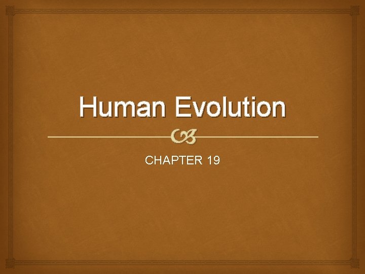 Human Evolution CHAPTER 19 