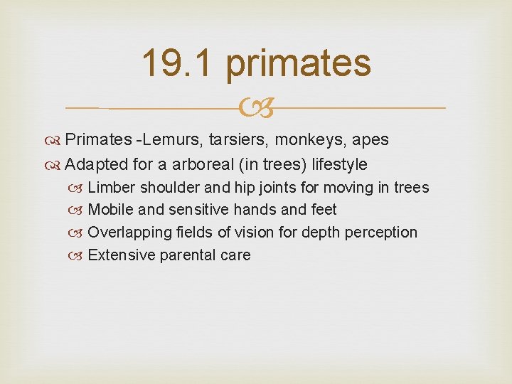 19. 1 primates Primates -Lemurs, tarsiers, monkeys, apes Adapted for a arboreal (in trees)