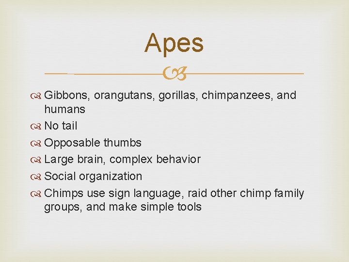 Apes Gibbons, orangutans, gorillas, chimpanzees, and humans No tail Opposable thumbs Large brain, complex