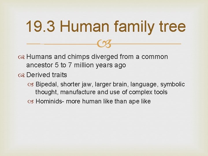 19. 3 Human family tree Humans and chimps diverged from a common ancestor 5