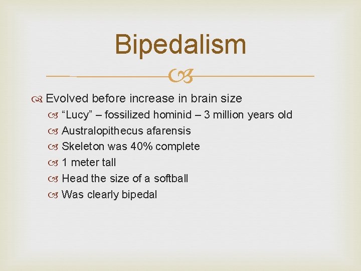 Bipedalism Evolved before increase in brain size “Lucy” – fossilized hominid – 3 million