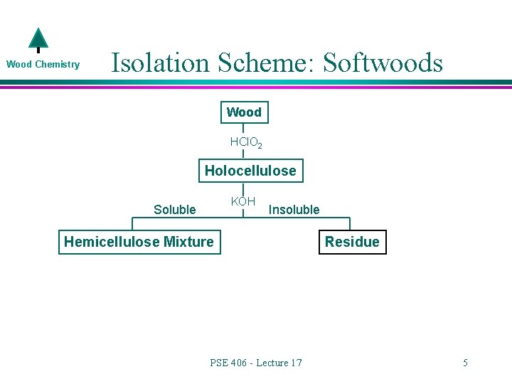 Wood Chemistry Isolation Scheme: Softwoods Wood HCl. O 2 Holocellulose KOH Soluble Insoluble Hemicellulose