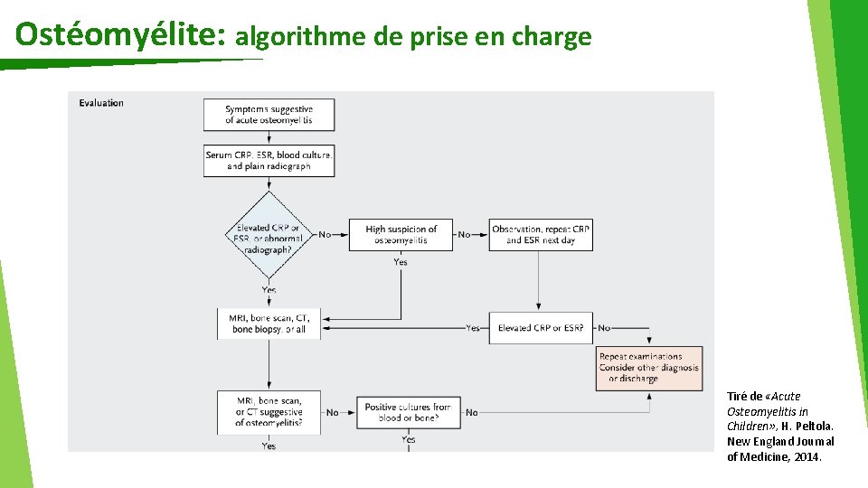 Ostéomyélite: algorithme de prise en charge Tiré de «Acute Osteomyelitis in Children» , H.