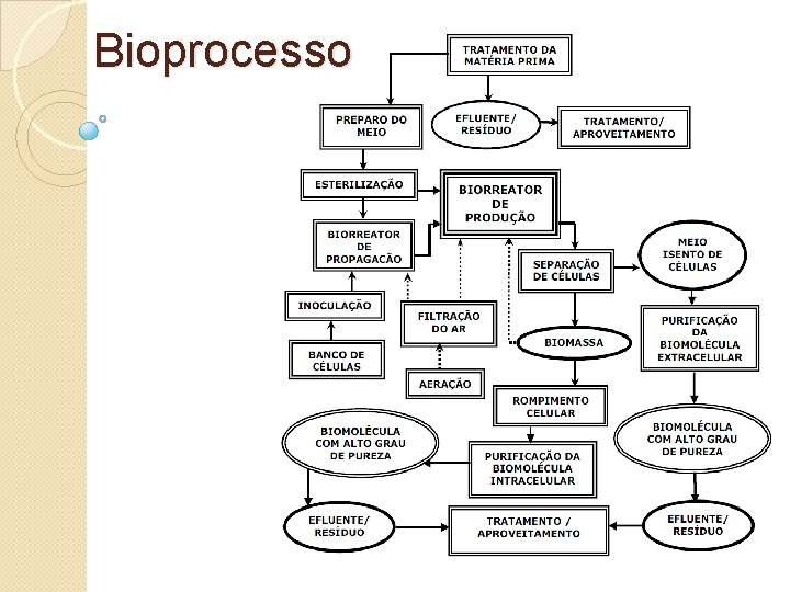 Bioprocesso 