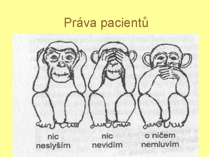 Práva pacientů 