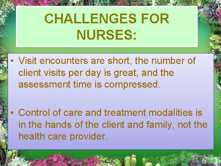 CHALLENGES FOR NURSES: • Visit encounters are short, the number of client visits per