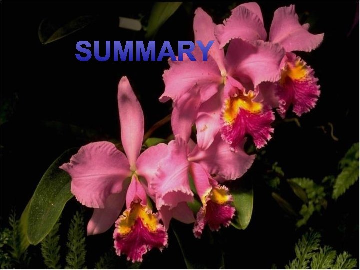 SUMMARY 