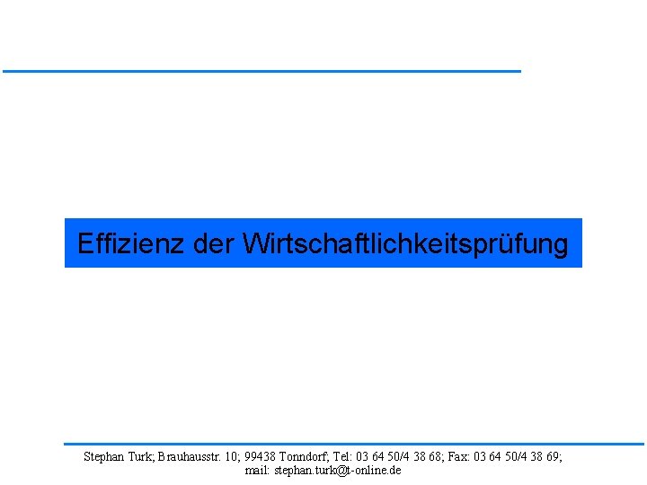 Effizienz der Wirtschaftlichkeitsprüfung Stephan Turk; Brauhausstr. 10; 99438 Tonndorf; Tel: 03 64 50/4 38