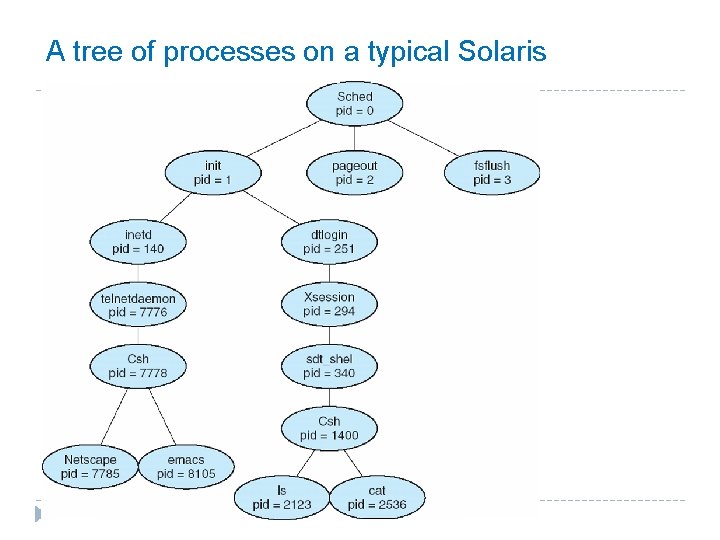 A tree of processes on a typical Solaris 17 