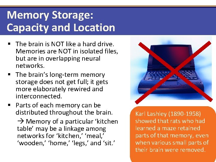 Memory Storage: Capacity and Location § The brain is NOT like a hard drive. Memory Storage: Capacity and Location § The brain is NOT like a hard drive.