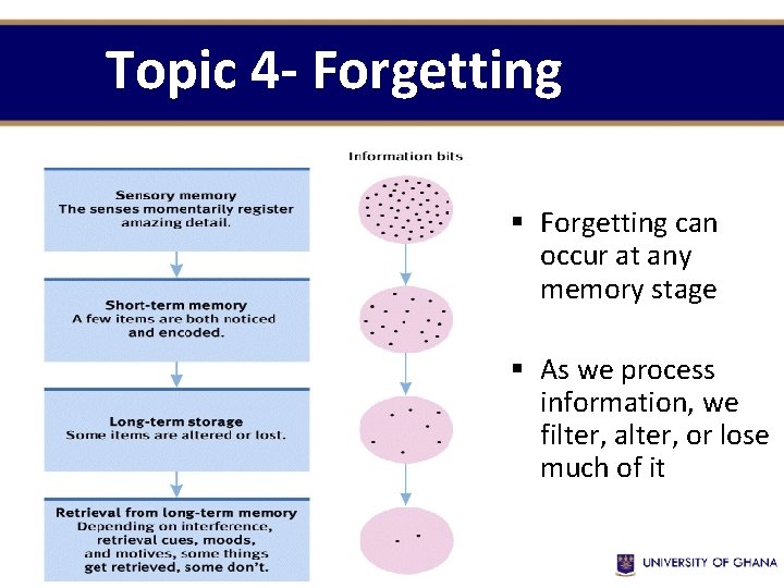 Topic 4 - Forgetting § Forgetting can occur at any memory stage § As Topic 4 - Forgetting § Forgetting can occur at any memory stage § As