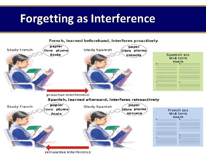 Forgetting as Interference Forgetting as Interference