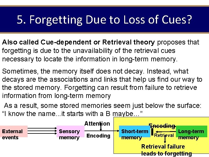 5. Forgetting Due to Loss of Cues? Also called Cue-dependent or Retrieval theory proposes 5. Forgetting Due to Loss of Cues? Also called Cue-dependent or Retrieval theory proposes