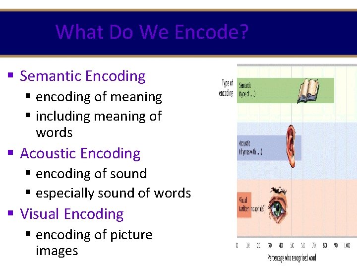 What Do We Encode? § Semantic Encoding § encoding of meaning § including meaning What Do We Encode? § Semantic Encoding § encoding of meaning § including meaning