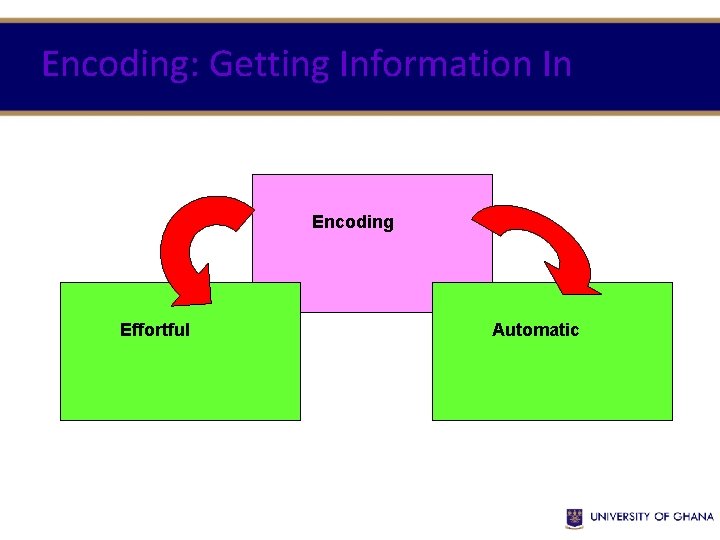 Encoding: Getting Information In Encoding Effortful Automatic Encoding: Getting Information In Encoding Effortful Automatic