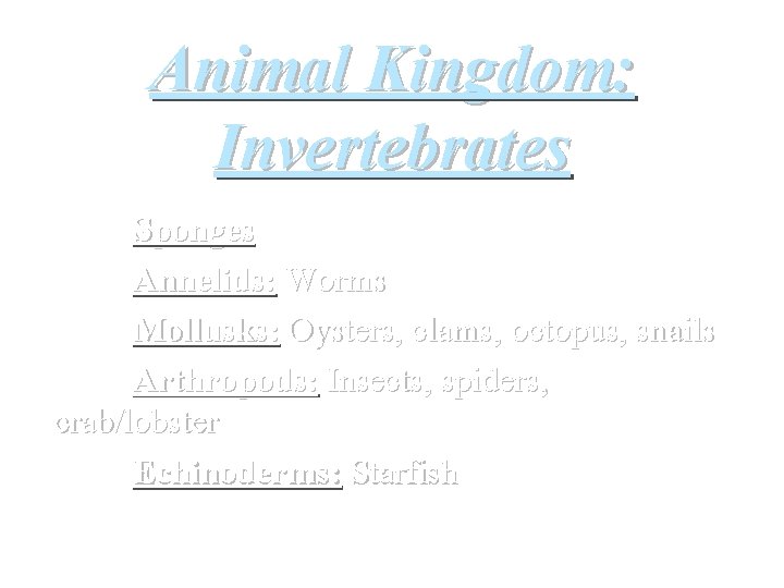 Animal Kingdom: Invertebrates Sponges Annelids: Worms Mollusks: Oysters, clams, octopus, snails Arthropods: Insects, spiders,
