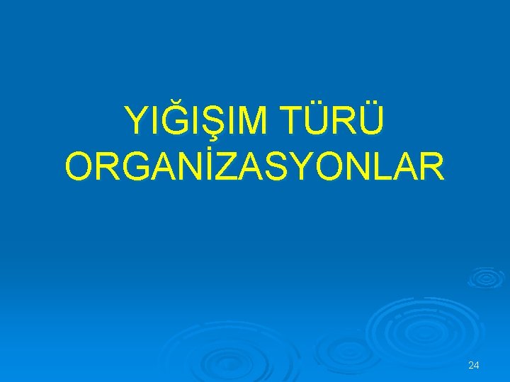 YIĞIŞIM TÜRÜ ORGANİZASYONLAR 24 
