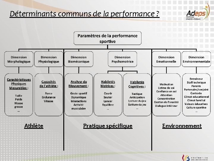 Déterminants communs de la performance ? Athlète Pratique spécifique Environnement 