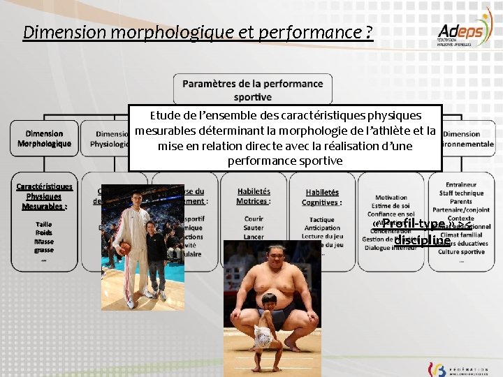 Dimension morphologique et performance ? Dimension Morphologique Etude de l’ensemble des caractéristiques physiques mesurables