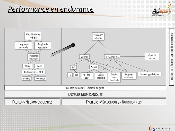 Performance en endurance 