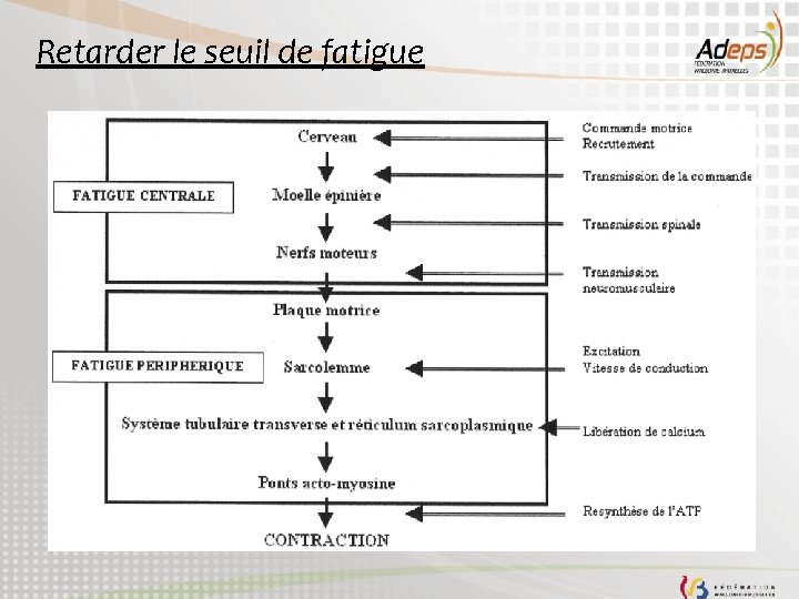 Retarder le seuil de fatigue 